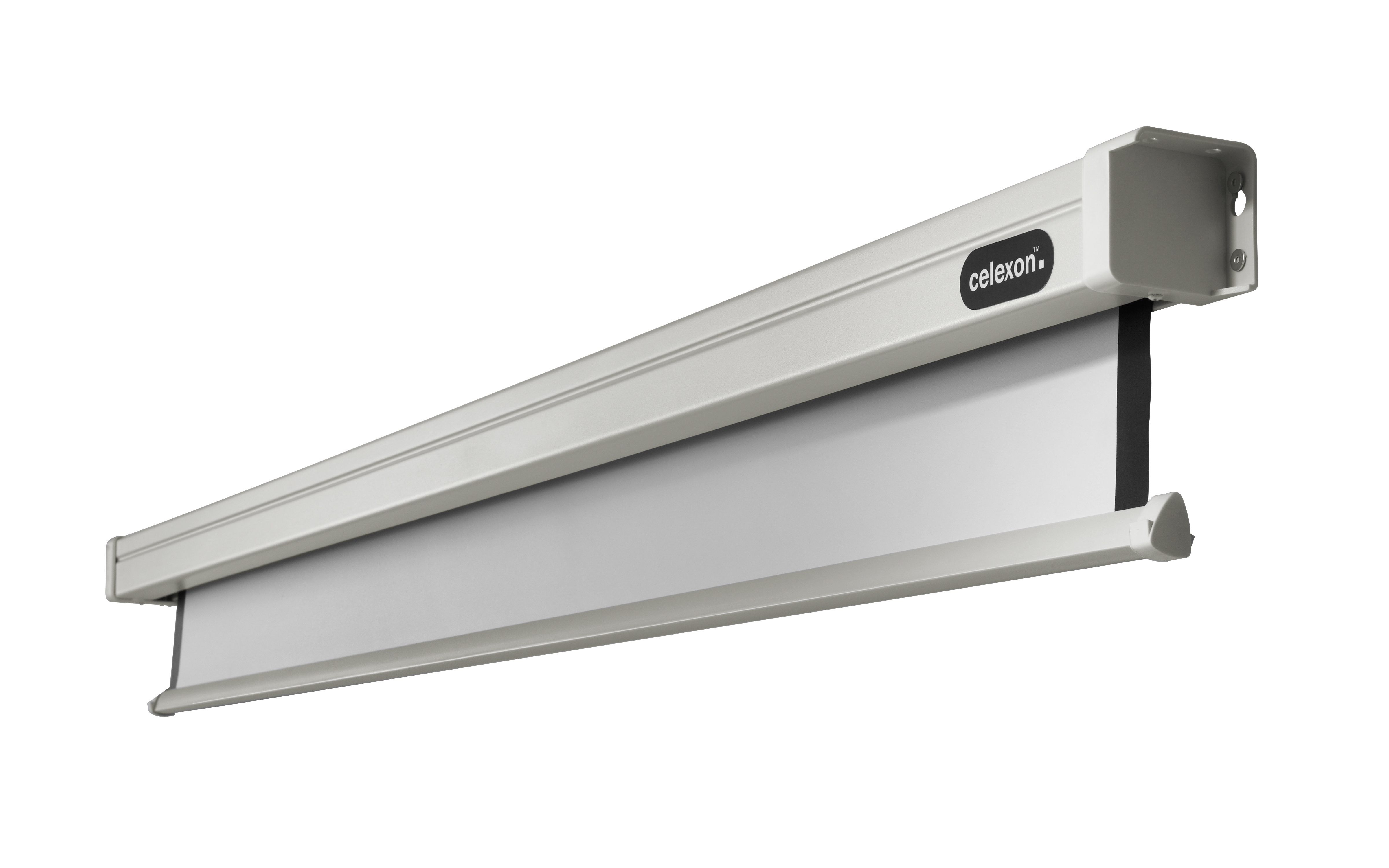 celexon Leinwand Motor Professional 200 x 113 cm