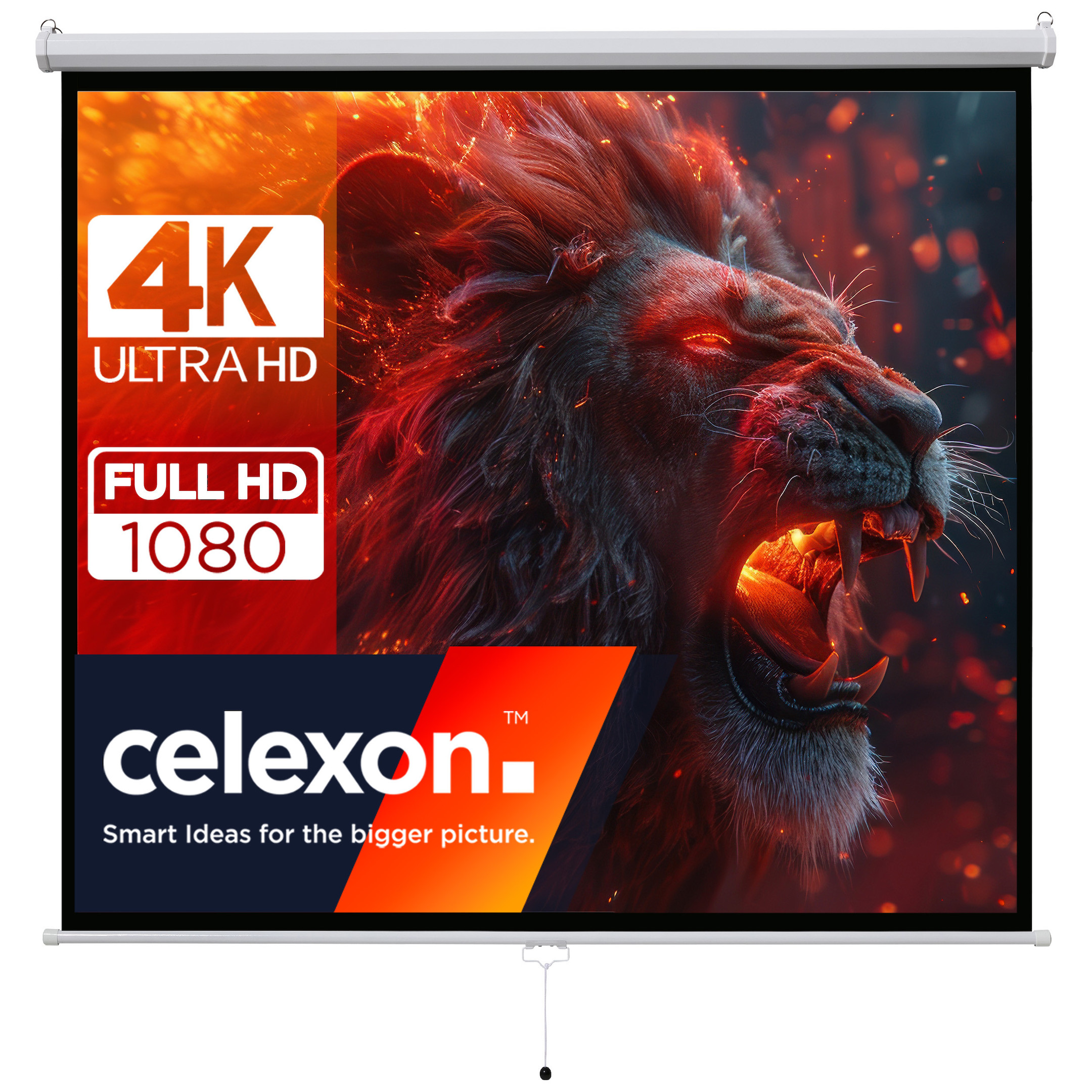 celexon basic Rollo-Leinwand 135" | 240x240 cm 1:1 | ausziehbare Full-HD 4K Beamer-Leinwand für Heimkino oder Büro-Präsentationen | Projektionsleinwand geeignet zur Deckenmontage oder Wandmontage