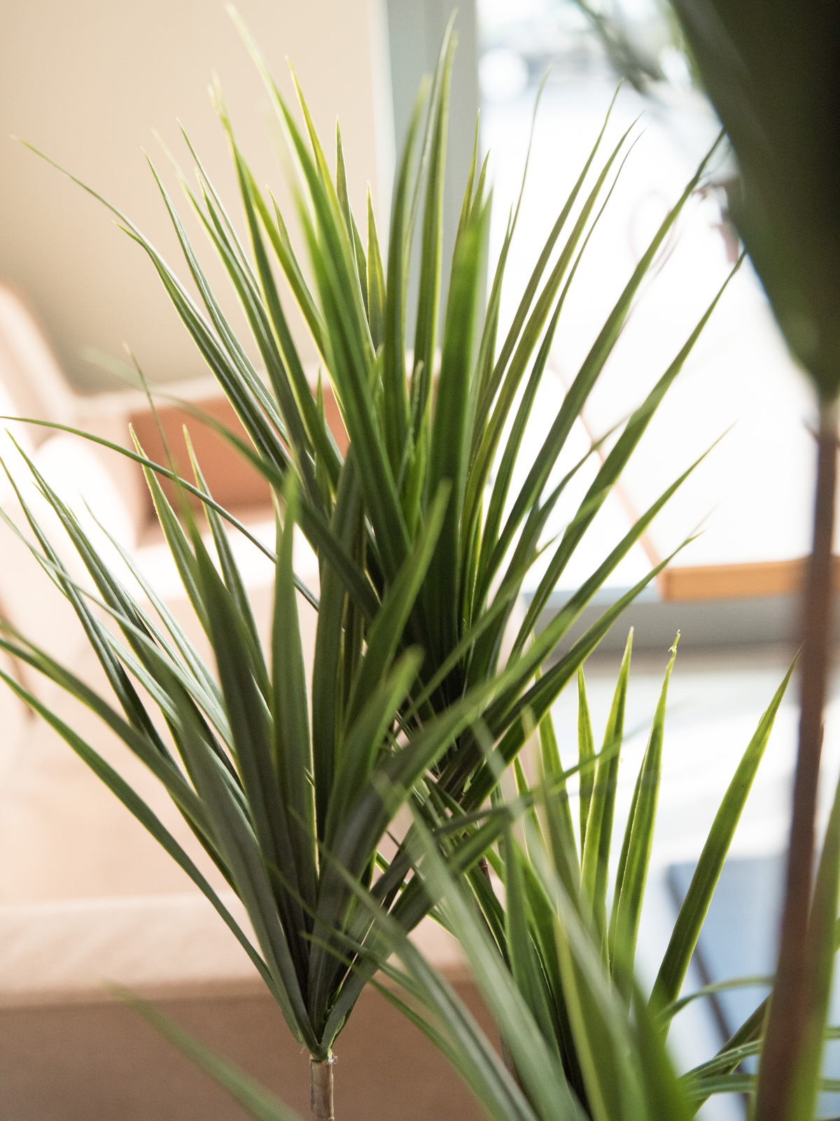 EUROPALMS Yucca Palme, Kunstpflanze, 130cm EUROPALMS Yucca Palme, Kunstpflanze, 130cm