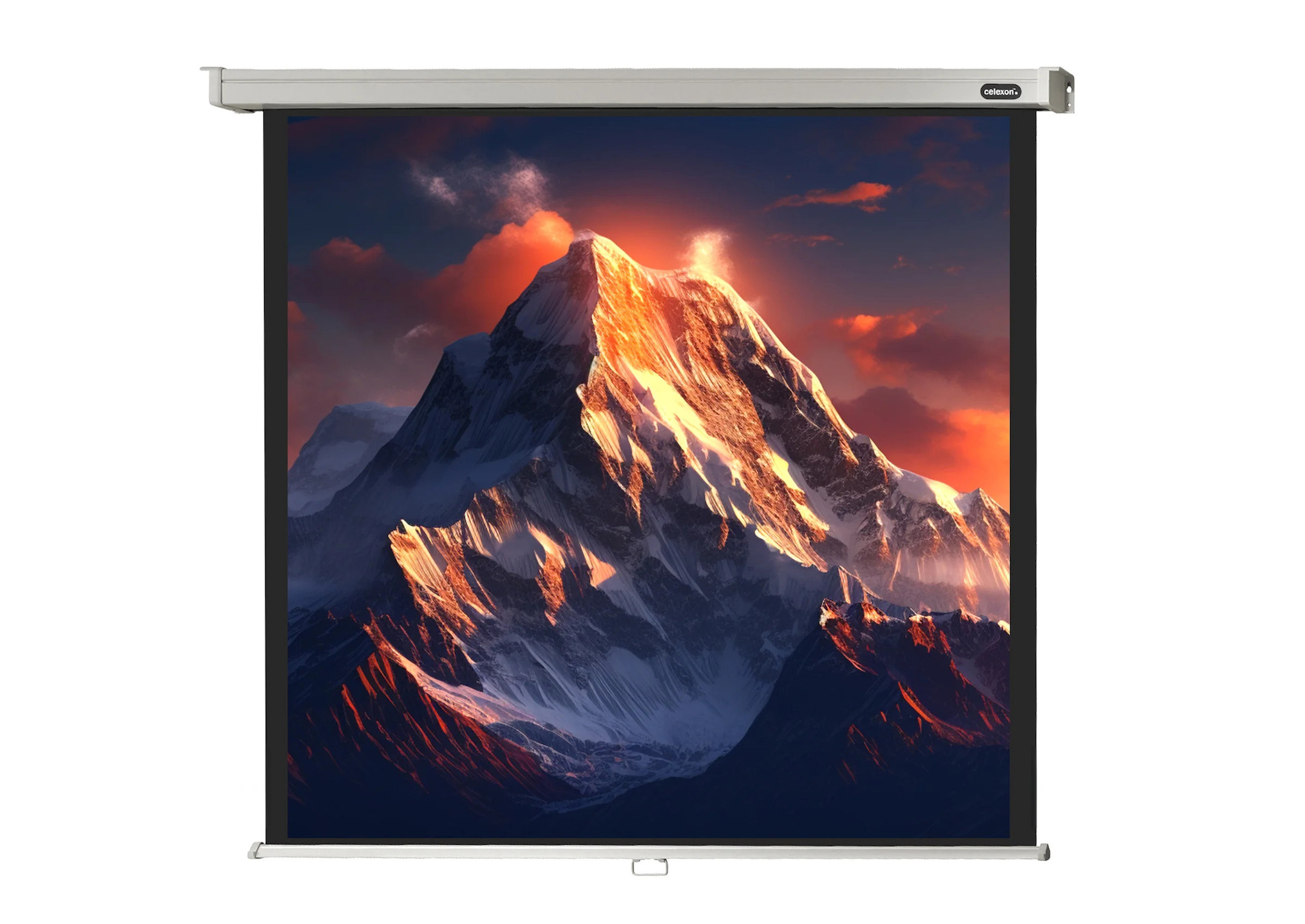 celexon Leinwand Rollo Professional 280 x 280 cm - 156"