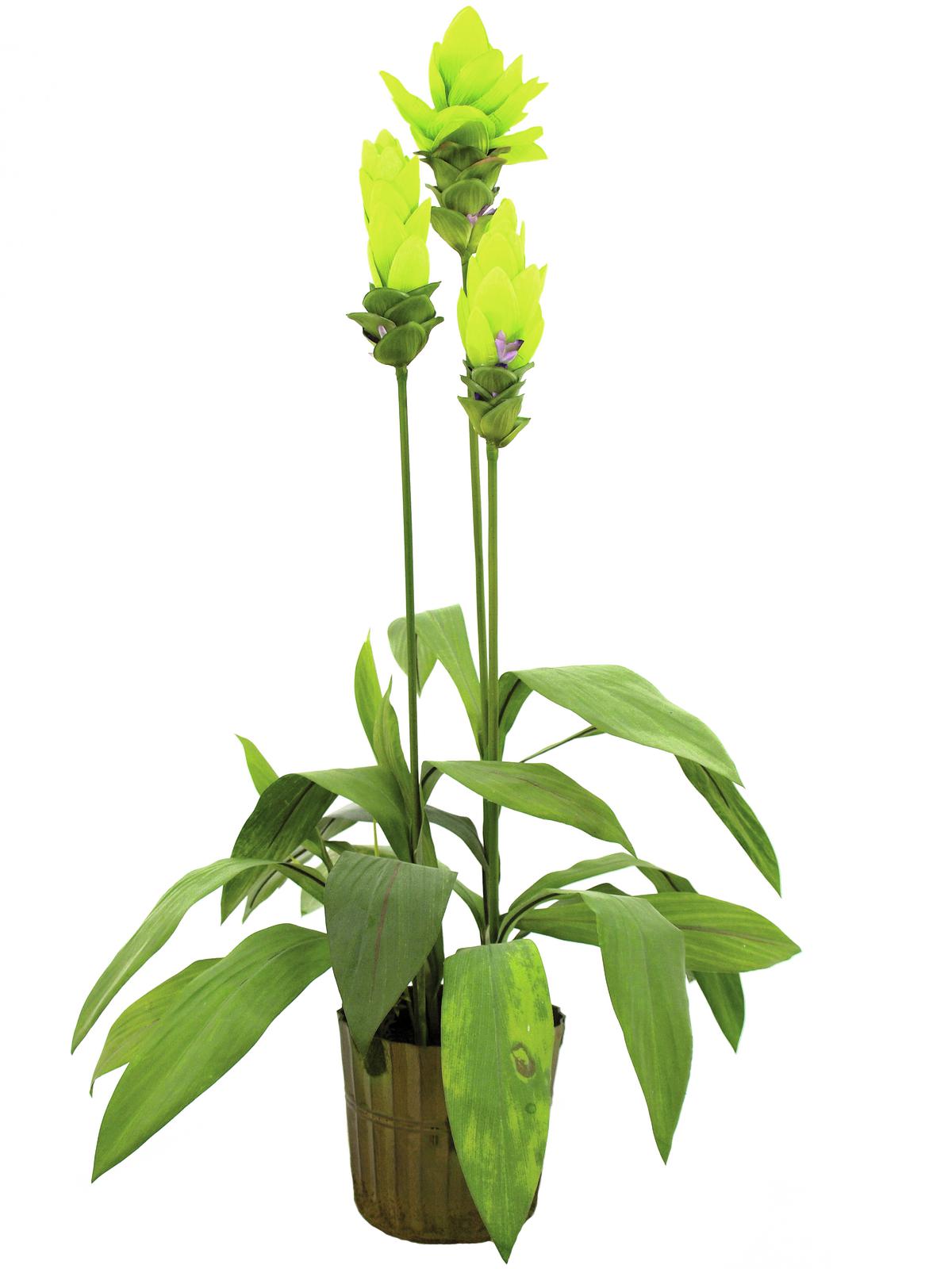 EUROPALMS Ingwerlilie, Kunstpflanze, 95cm